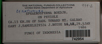 Image Associated With the Occurence